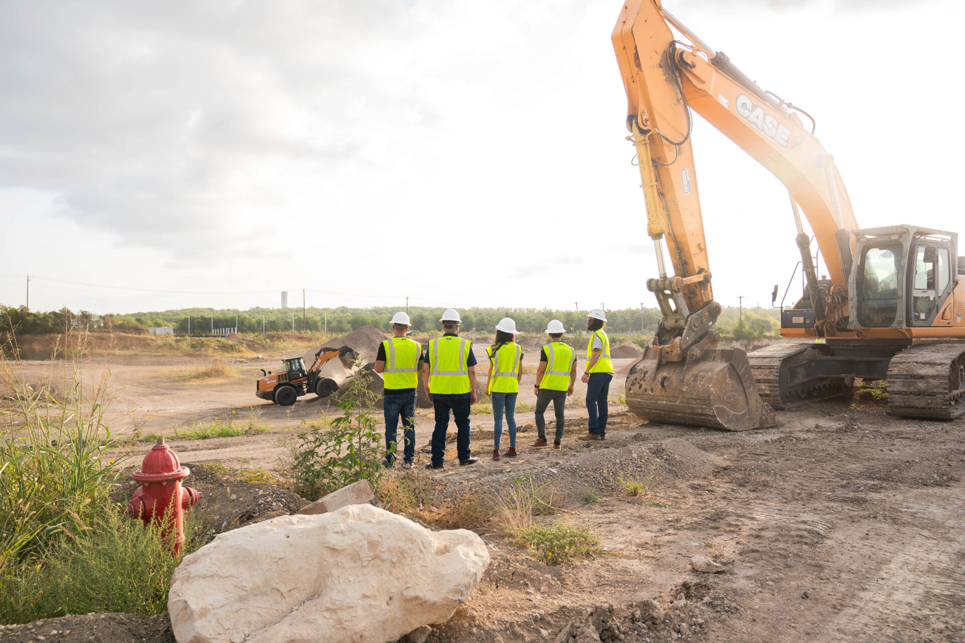 Golden Cheeked Warbler bird