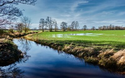 What Is a Water Master Plan and Does Your City Need One?